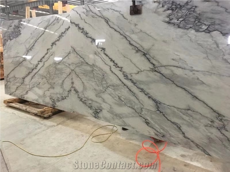 Silver Cloud Grey Marble Slabs Wall Flooring Tiles