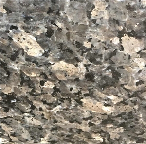 Silver Pearl Granite Slabs Walling Flooring Tiles