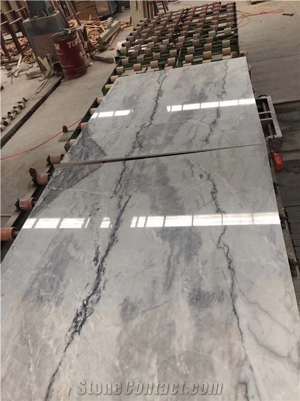 White Grey Marble with Black Veins Slabs Tiles