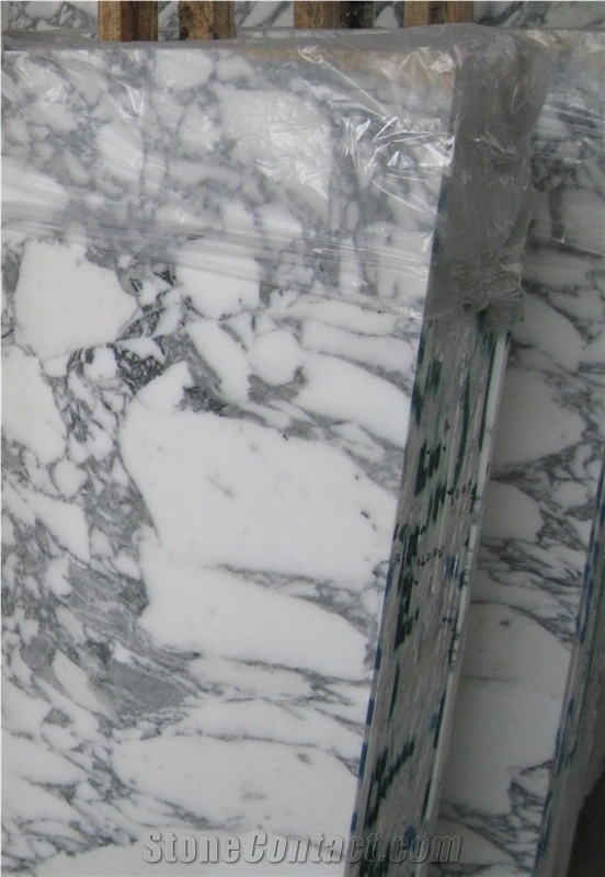Polished White Marble Floor Tile Arabescato Marble