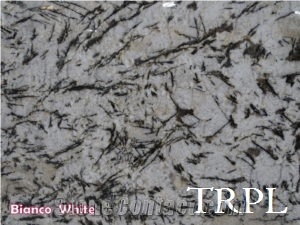 Bianco White Granite Slabs