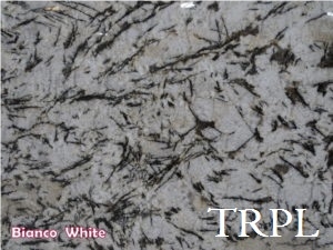 Bianco White Granite Slabs