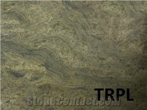 Jurassic Green / Coral Reef Granite Slabs