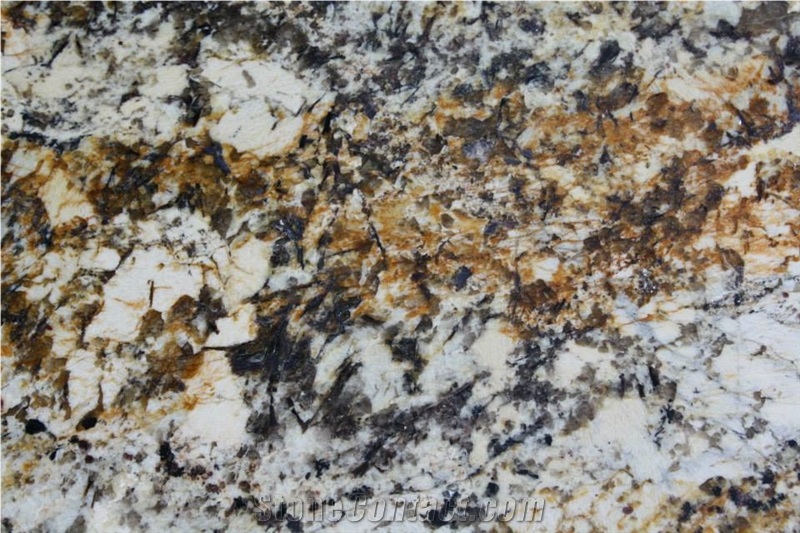 Golden Persa Granite Slabs