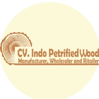 petrified wood indonesia