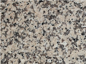 Crema Terra Granite Slabs