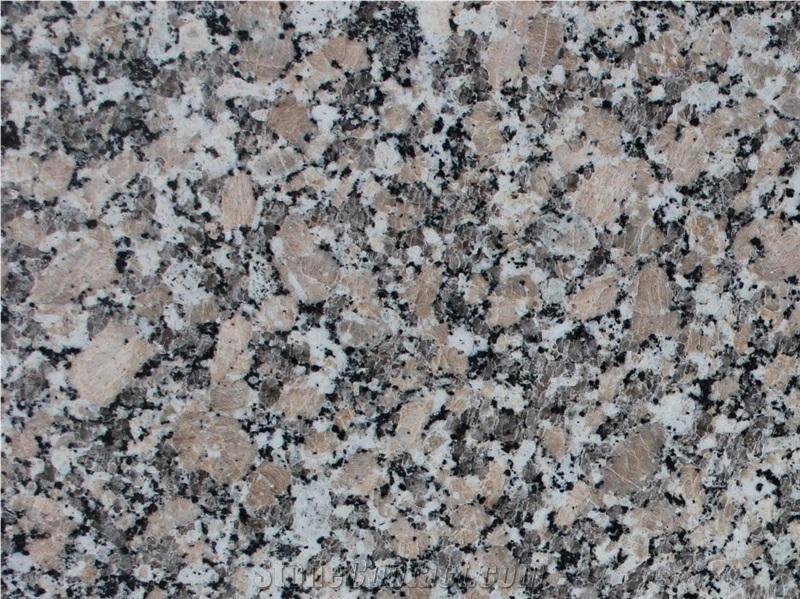 Gris Mondariz Granite