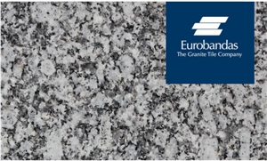 Gris Tragal Granite Slabs
