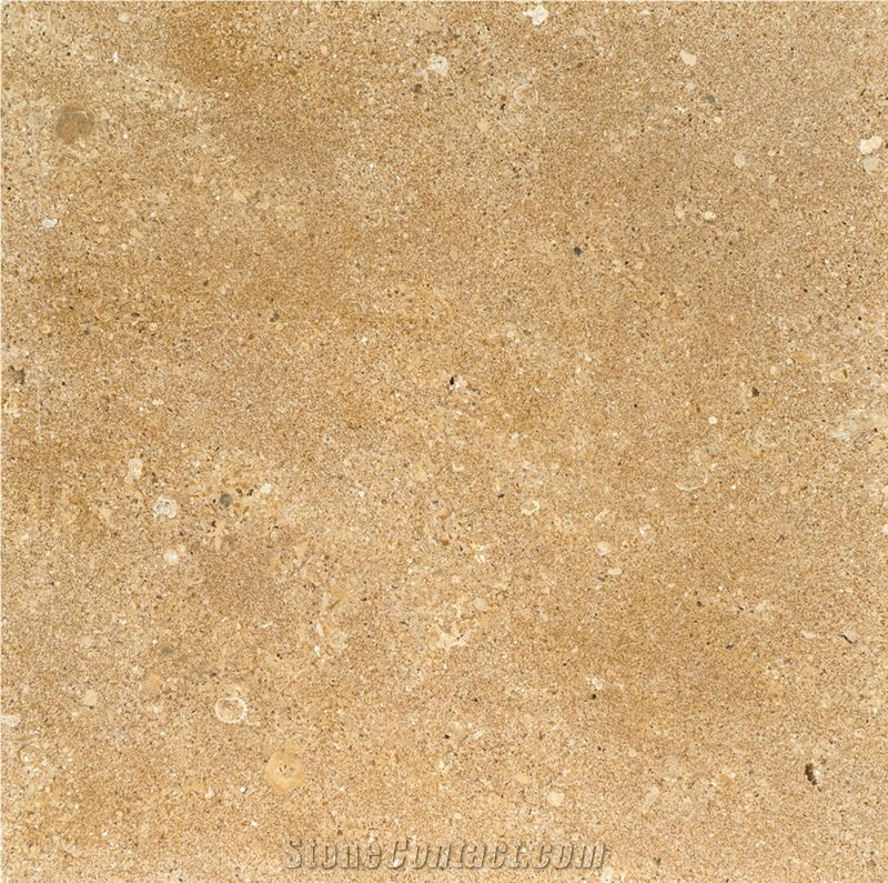 Piedra Nogal Limestone Tiles, Spain Gold Limestone