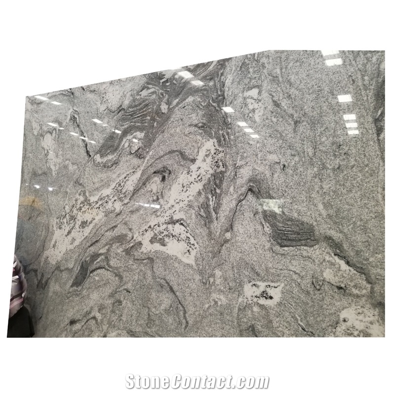 China Viscont White Granite with Black Veins