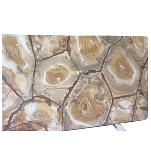 Exotic Natural Palomino Espinella Quartzite Tiles