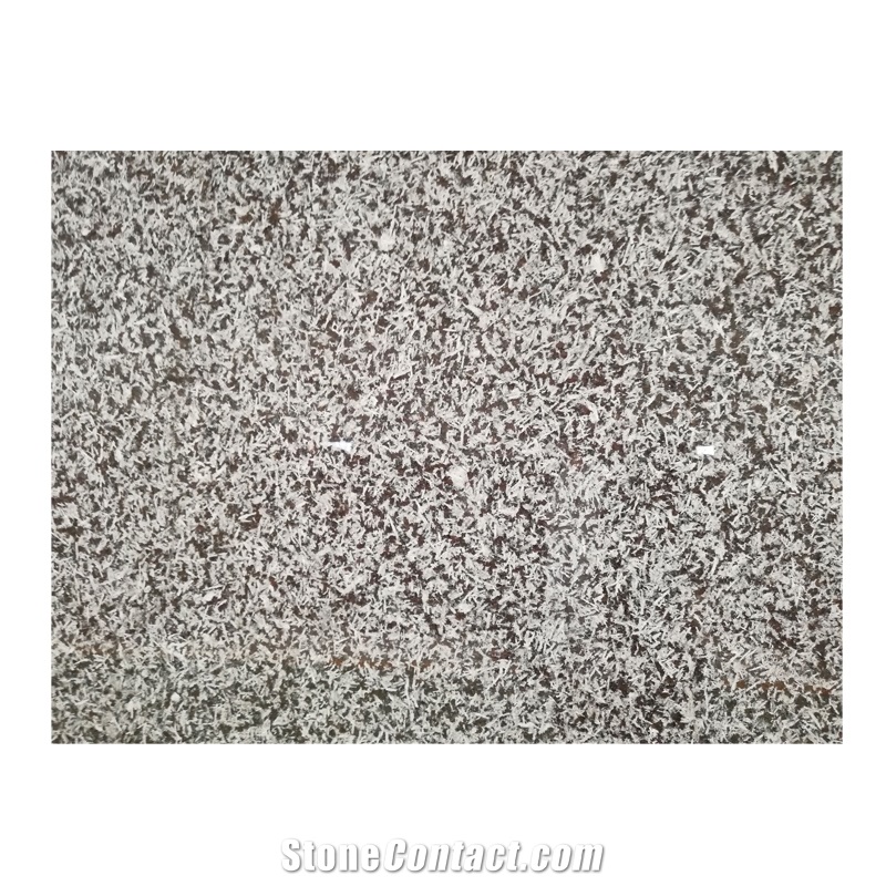Polished Portugal Saint Louis Brown Granite Tiles