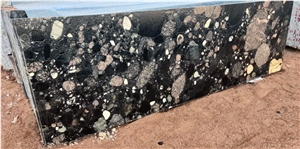 Indian Black Coin Granite