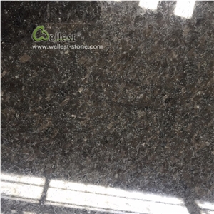 Cheap Price Polished Black Granite Tiles for Floor