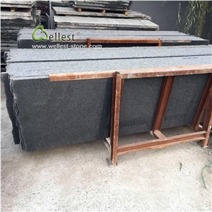 New Good Price China Polished Black Granite Tiles