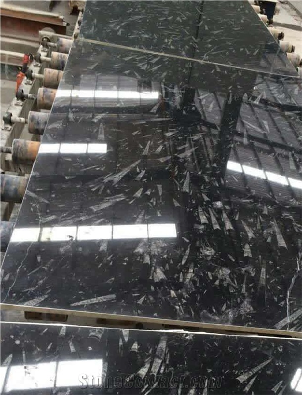 Black Fossil Marble