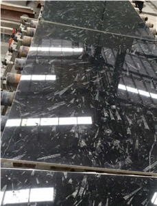 Black Fossil Marble