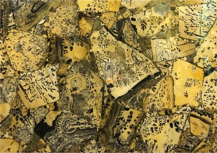 Semi Precious Yellow Fossil Translucent Slab