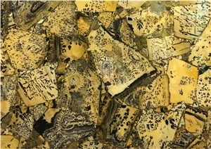 Semi Precious Yellow Fossil Translucent Slab