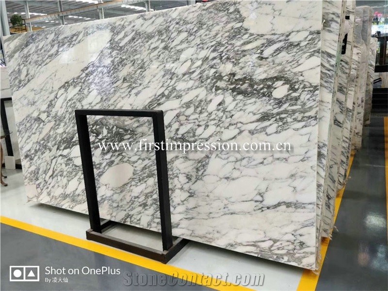 Italy Arabescato Carrara Marble Slabs & Tiles