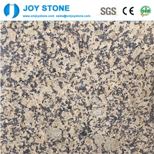 China G703 Yellow Granite Polished Slabs for Sale