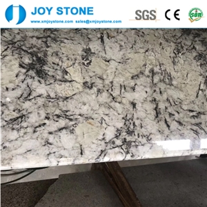 Polishd White Argento Granite Countertop Work Tops