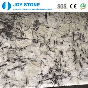 Polishd White Argento Granite Countertop Work Tops