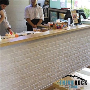 Chicago Type White Faux Stone Wall Clad Panel