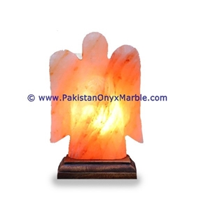 Himalayan Ionic Salt Crystal Angel Lamp