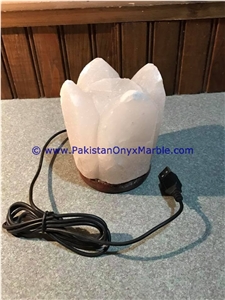 Himalayan Usb Flower Salt Lamps Crafted