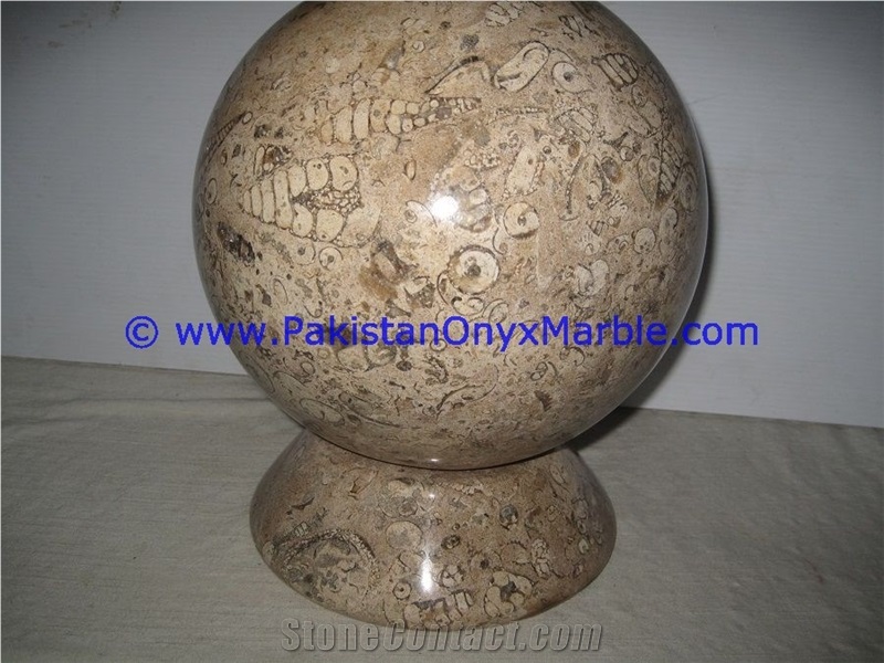Marble Spheres Round Ball Fossil Corel
