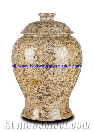 Marble Urns Fossil Corel Adult Pet