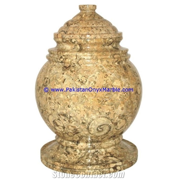 Marble Urns Fossil Corel Adult Pet