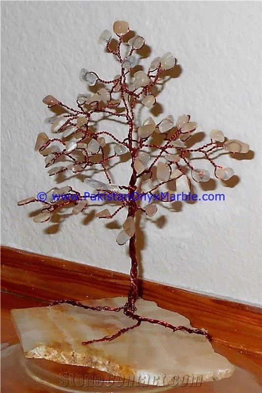 Onyx Christmas Grapes Cactus Tree