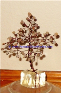 Onyx Christmas Grapes Cactus Tree