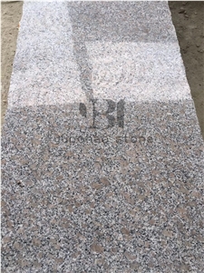 G383 Pear Flower Granite/Bullnose Stair Treads