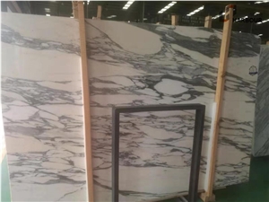 Arabescato Marble slab,Arabescato Faniello marble slab