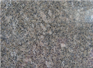 Carioca Gold Granite