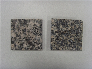 Leopard Skin Granite