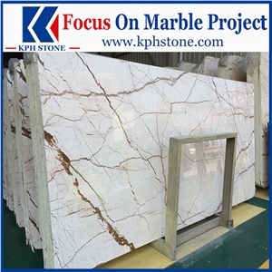 Menes Gold Marble Floors&Walls&Tiles&Slabs