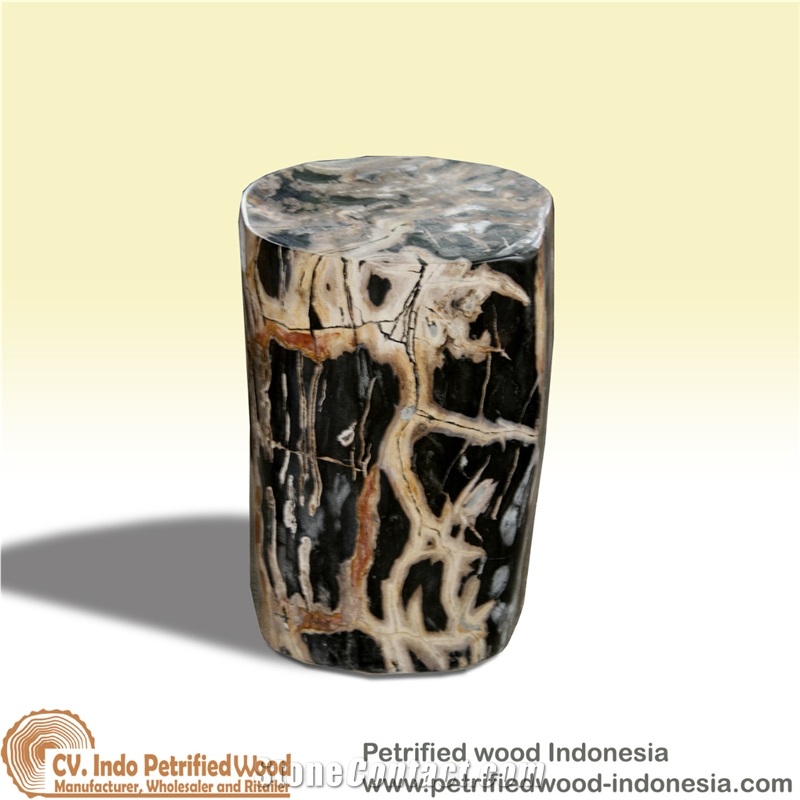Petrified Wood Stool Full Polished