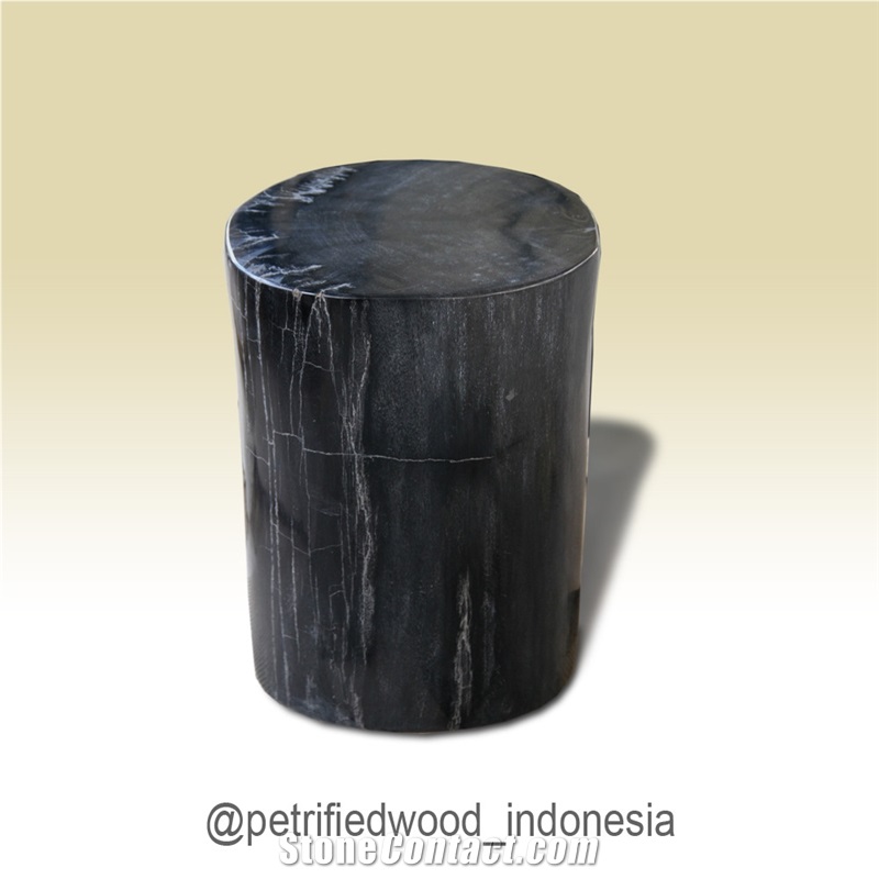 Petrified Wood Stool Full Polished