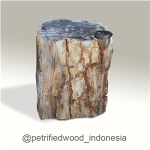 Petrified Wood Stool Top Polished