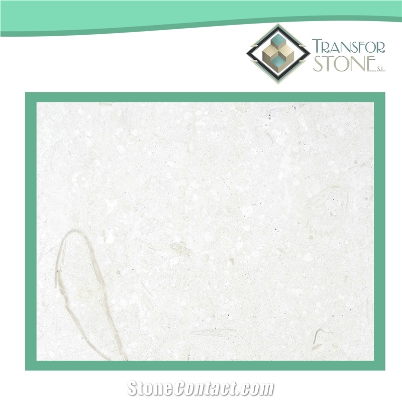 Caliza Alba Sea Shell White Limestone