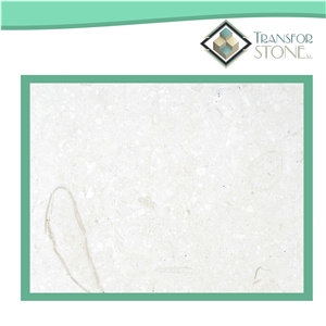 Caliza Alba Sea Shell White Limestone