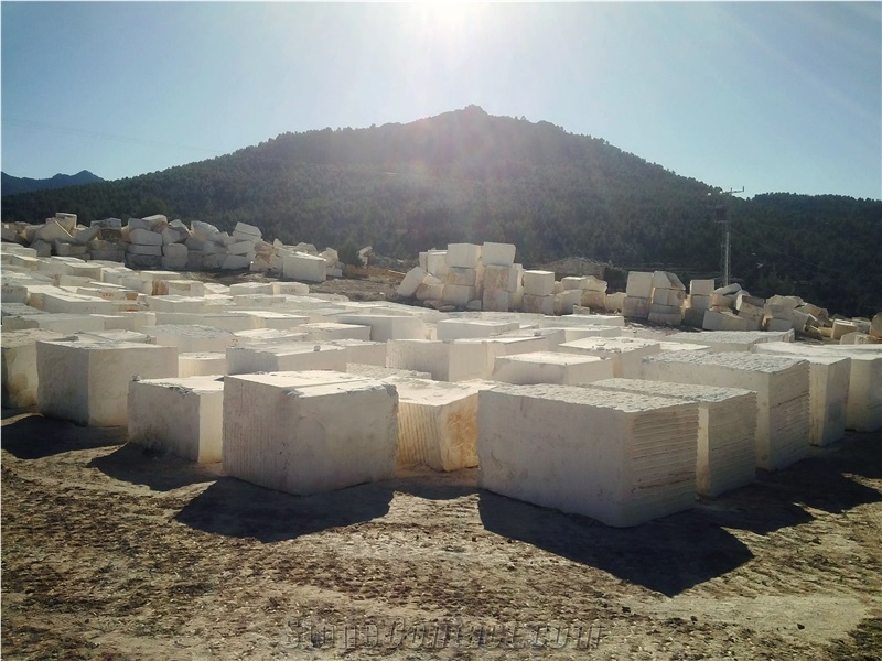 Caliza Alba White Limestone Blocks