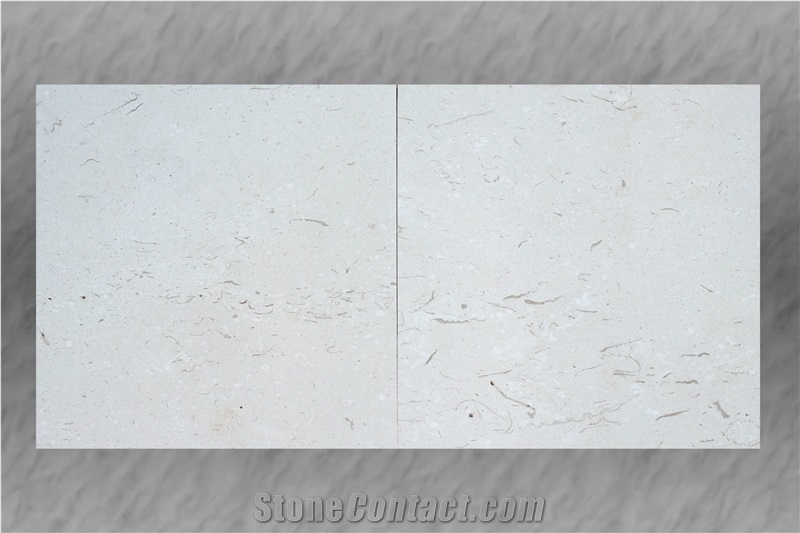 Honed White Fossil Limestone Tiles
