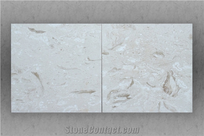 Shell Reef White Limestone Honed Tiles