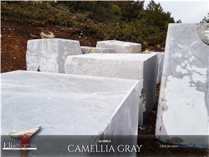 Camellia Grey Marble Blocks