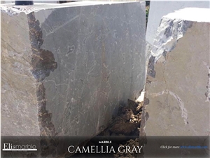 Camellia Grey Marble Blocks